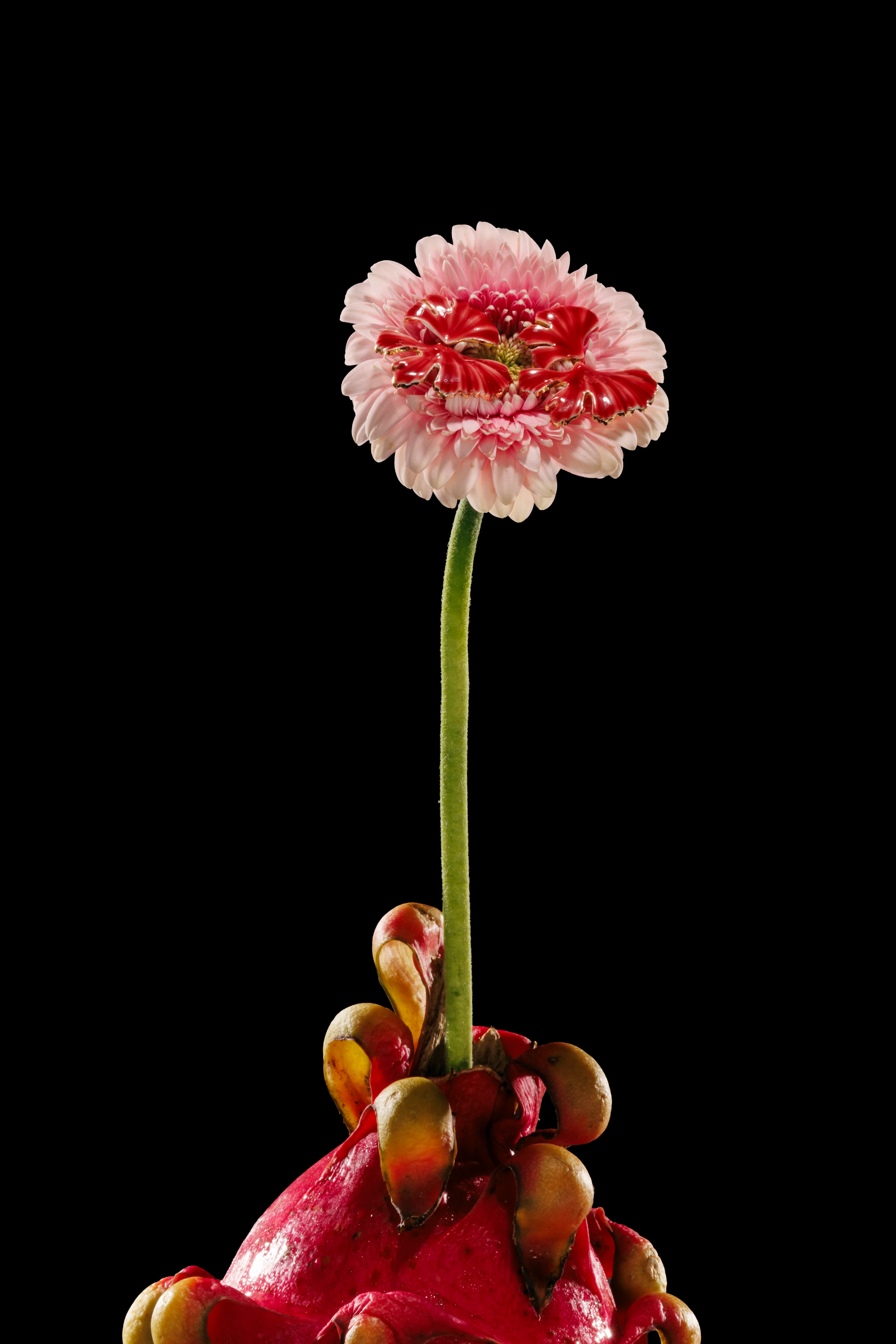 Bettina Earring - Rojo - Image 3